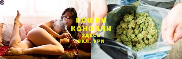 прущие грибы Няндома