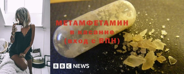 прущие грибы Няндома