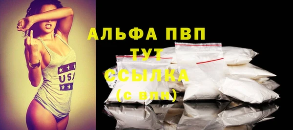 прущие грибы Няндома