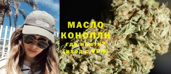 прущие грибы Няндома