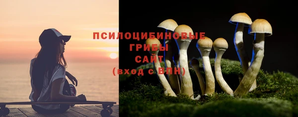 прущие грибы Няндома