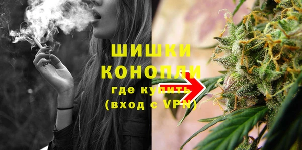 прущие грибы Няндома