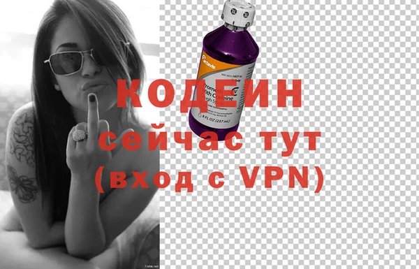 прущие грибы Няндома