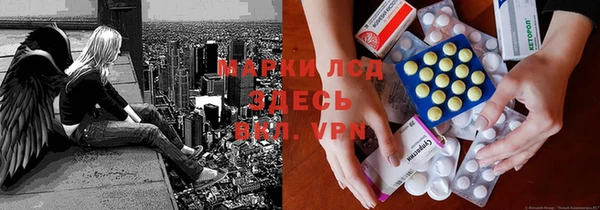 прущие грибы Няндома