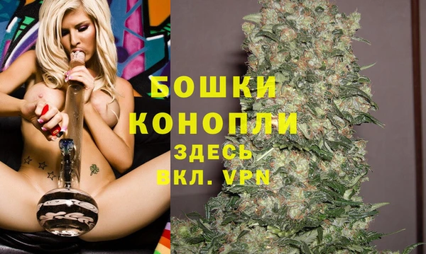 винт Осинники