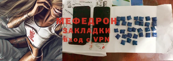 прущие грибы Няндома